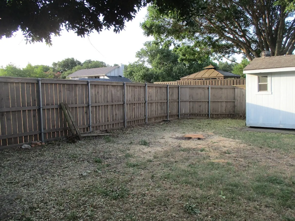 Cleared yard after professional tree removal in Harbeson