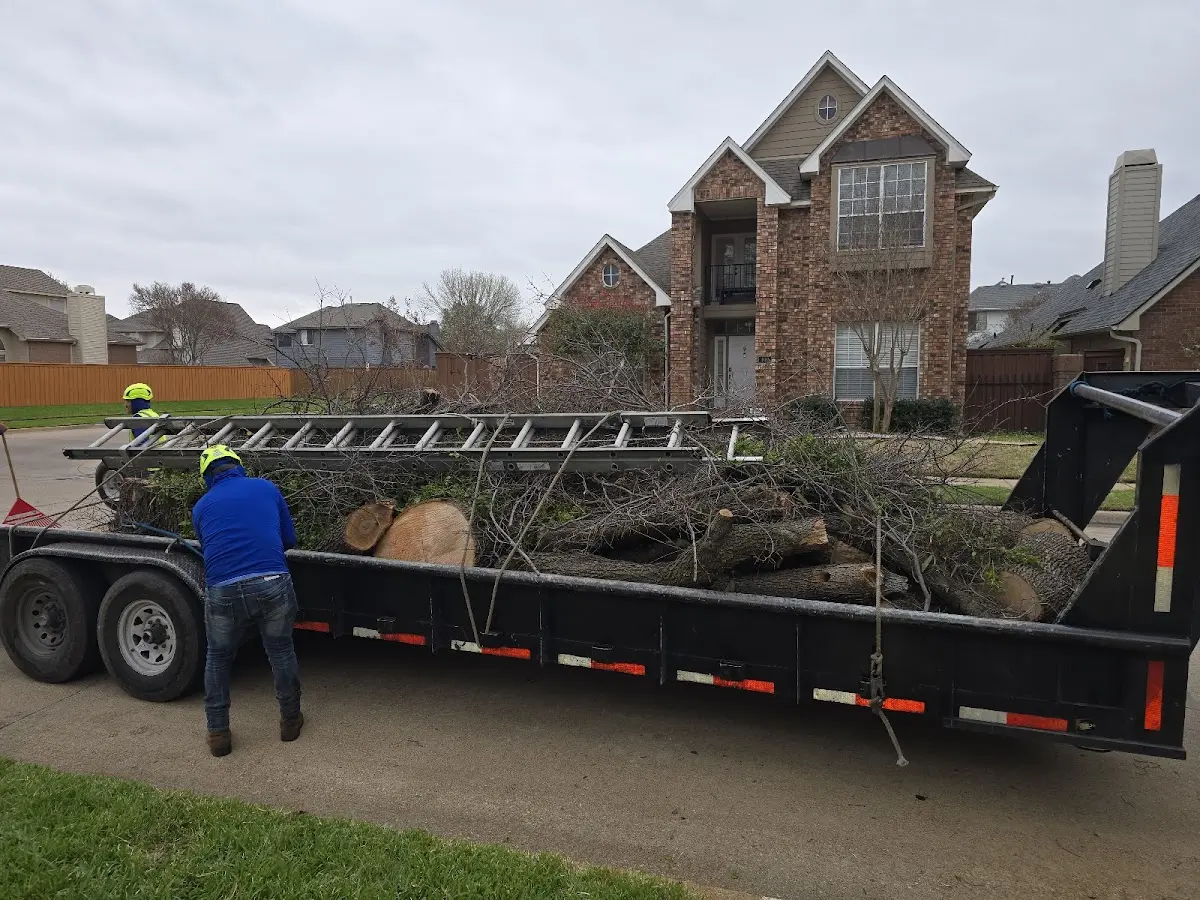 Expert Crown Reduction with proper safety equipment in Harbeson